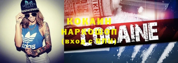 сатива Шали