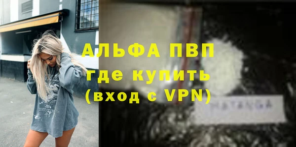 сатива Армянск