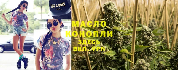 сатива Армянск