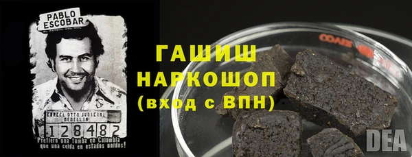 сатива Армянск