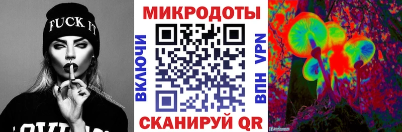 хочу   Багратионовск  Псилоцибиновые грибы Psilocybine cubensis 